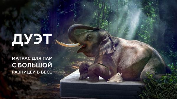 Матрас для двоих: как выбрать, чтобы оба были довольны